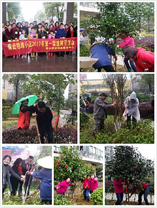 播一片綠林，種一份愛(ài)心